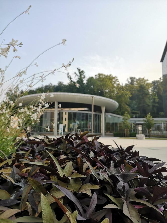Apartments Soelek - Vila Golf Rogaška Slatina Zewnętrze zdjęcie